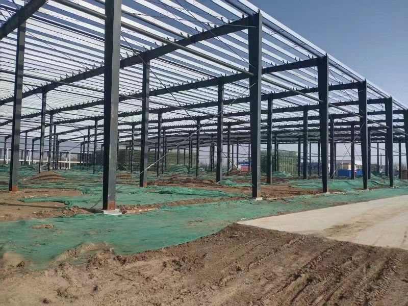 ISO одобрен Китай высокопроизводительная промышленная мастерская здание 46M высота 36M прозрачный размах одноэтажный мастерская цена